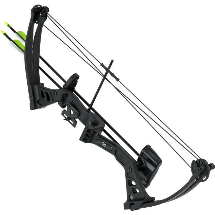 Haller Compoundbogen Set, schwarz, Fiberglas, 68 cm, 25 lbs, mit 2 Pfeilen und Zubehör